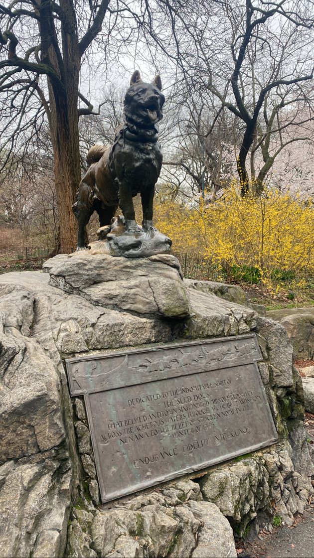 Lugares Balto Statue