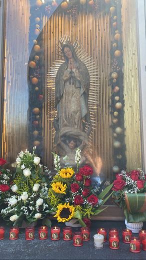 la Basílica de Guadalupe