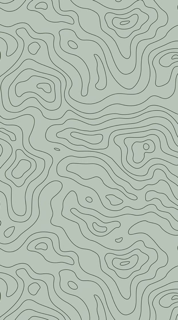 App contour//contorno