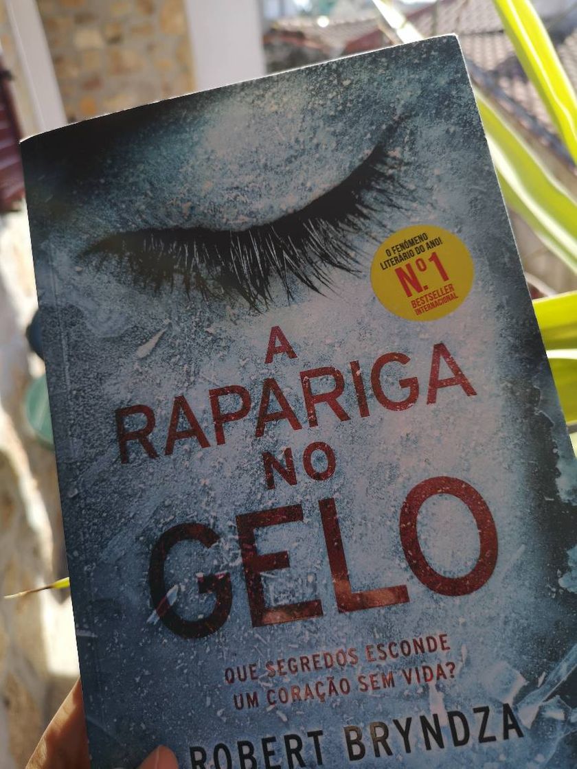 Book A Rapariga No Gelo