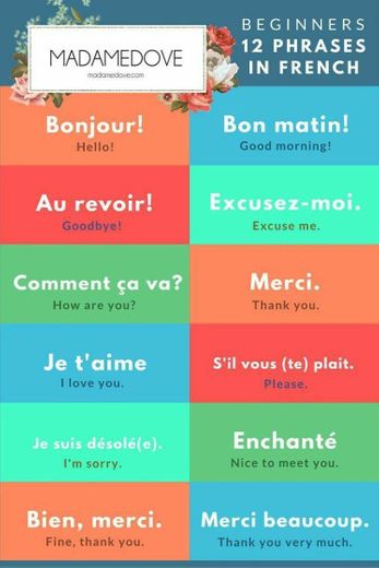 frases básicas em francês 