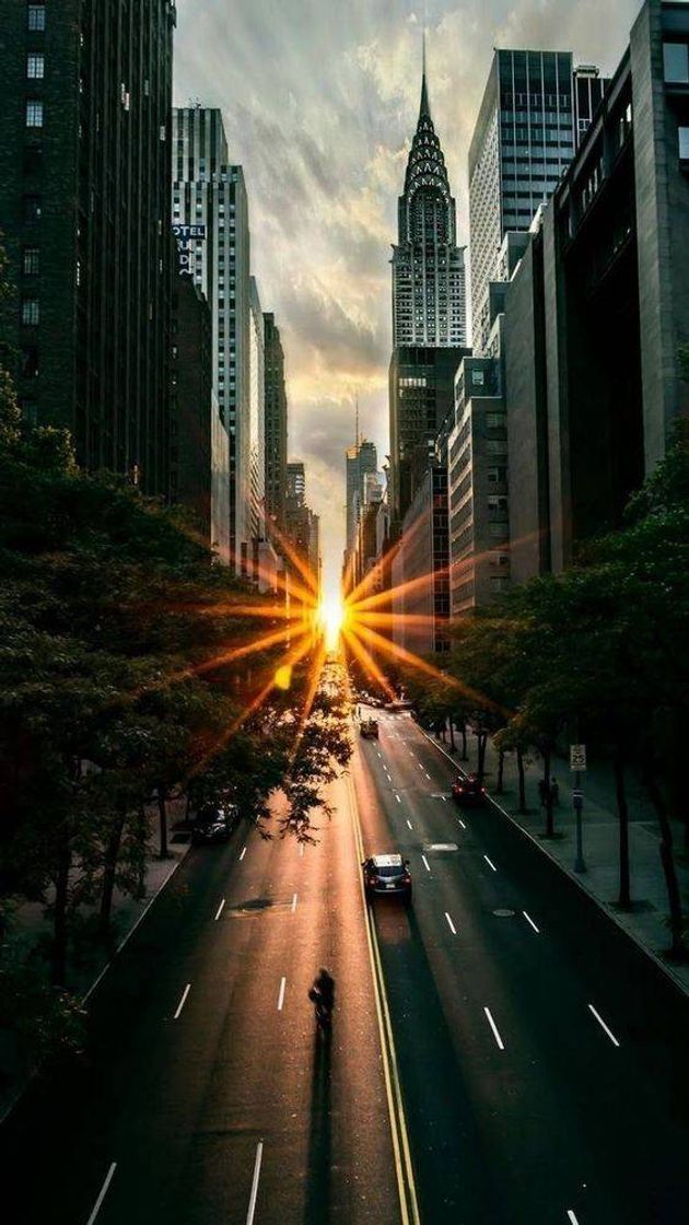Social Paisagens