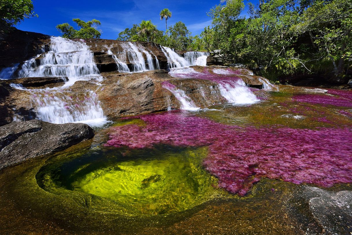 Lugar Caño Cristales