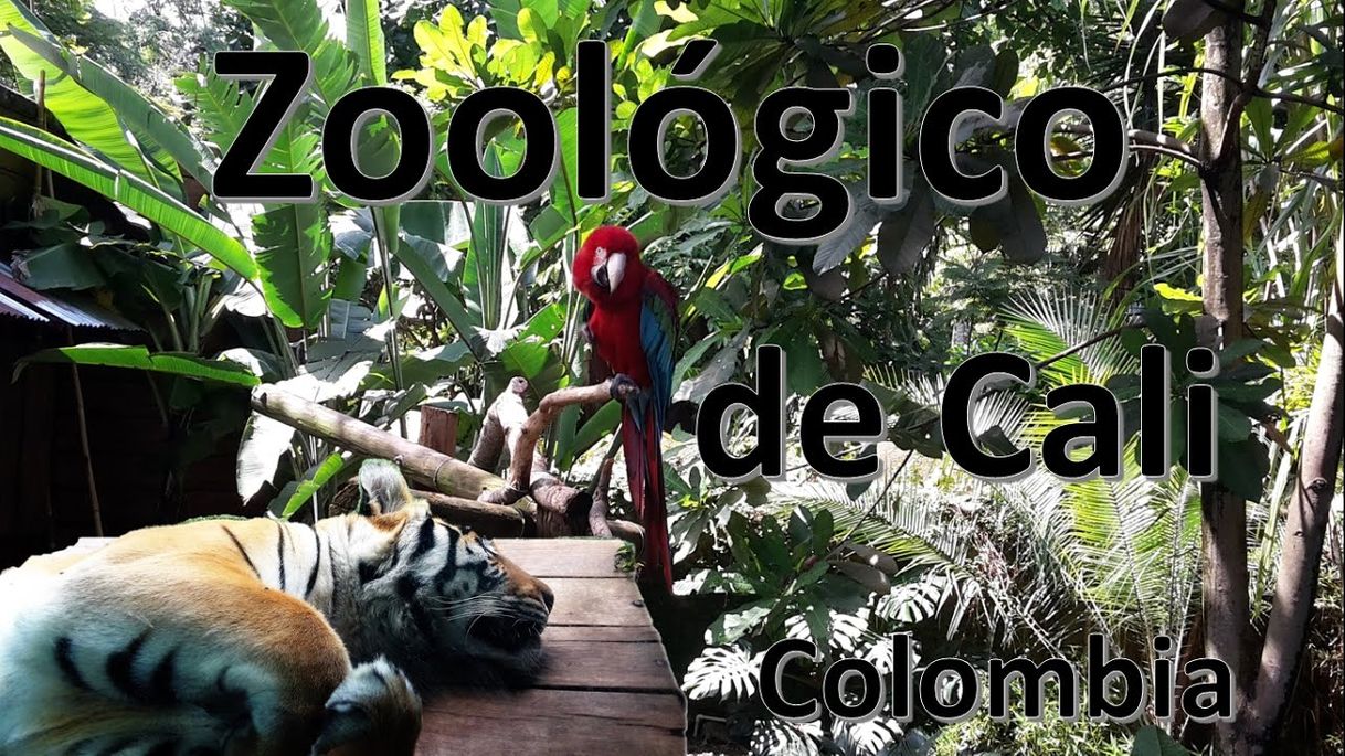 Lugar Zoológico de Cali