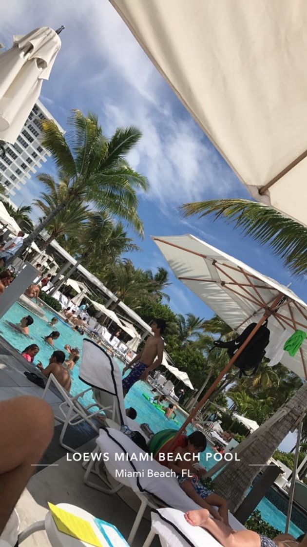 Restaurantes Loews Miami Beach Hotel