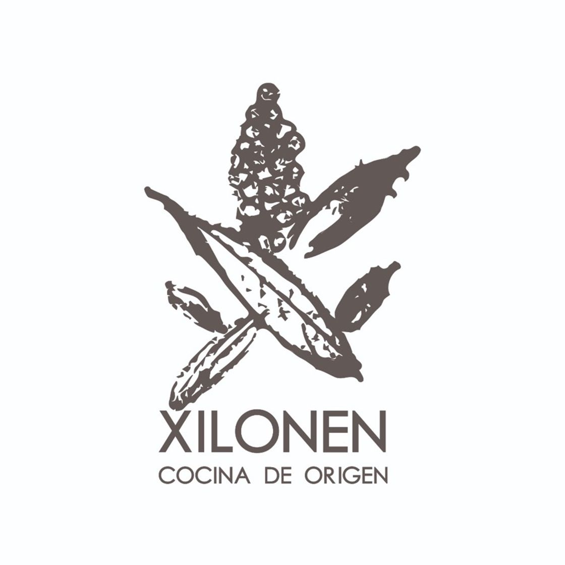 Fashion XILONEN - Local Business - Mexico City, Mexico | Facebook - 7 ...