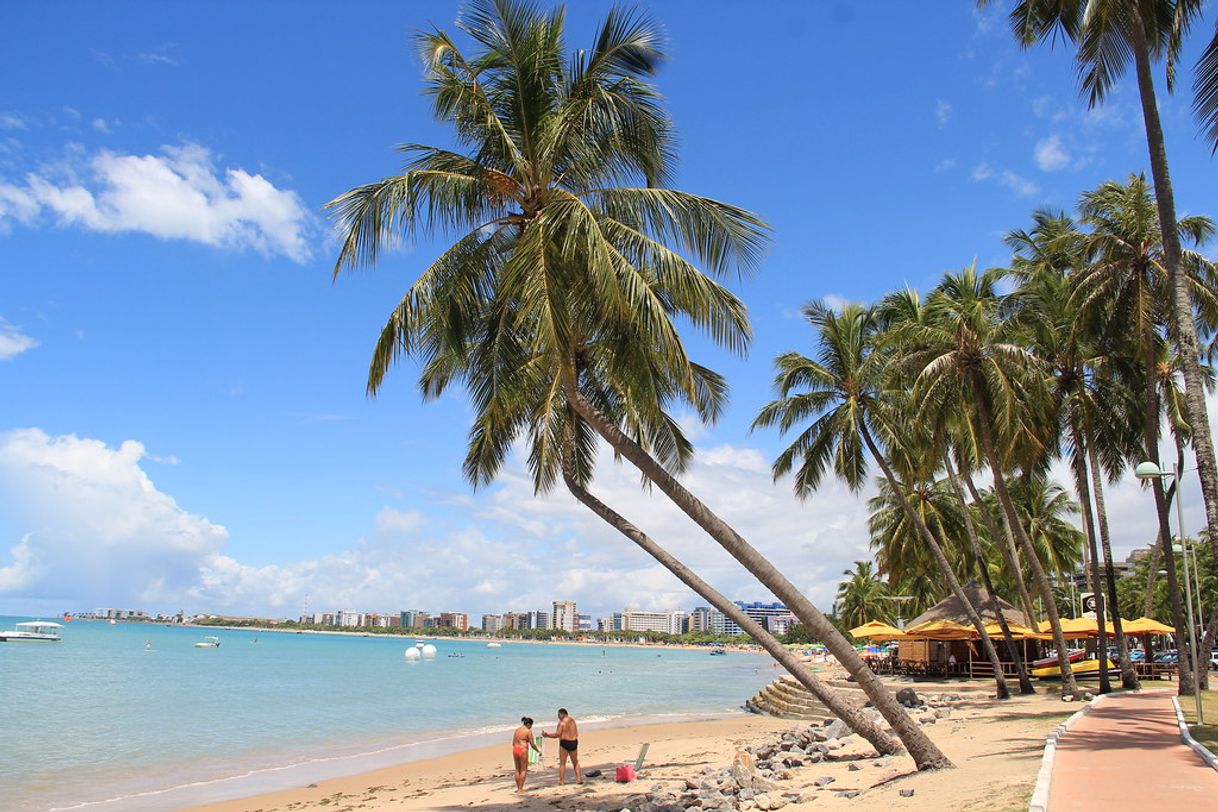 Lugar Praia de Pajuçara