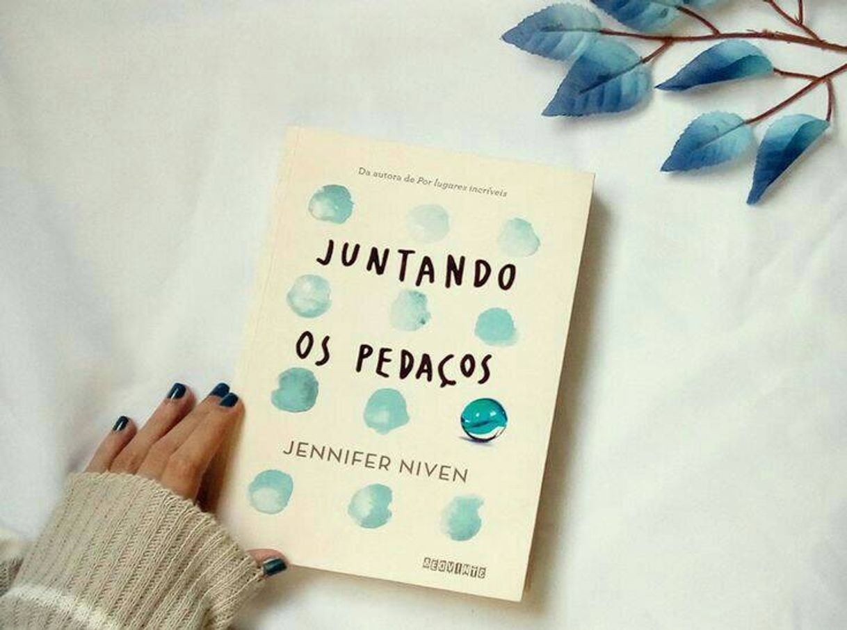 Book Juntando os pedaços 