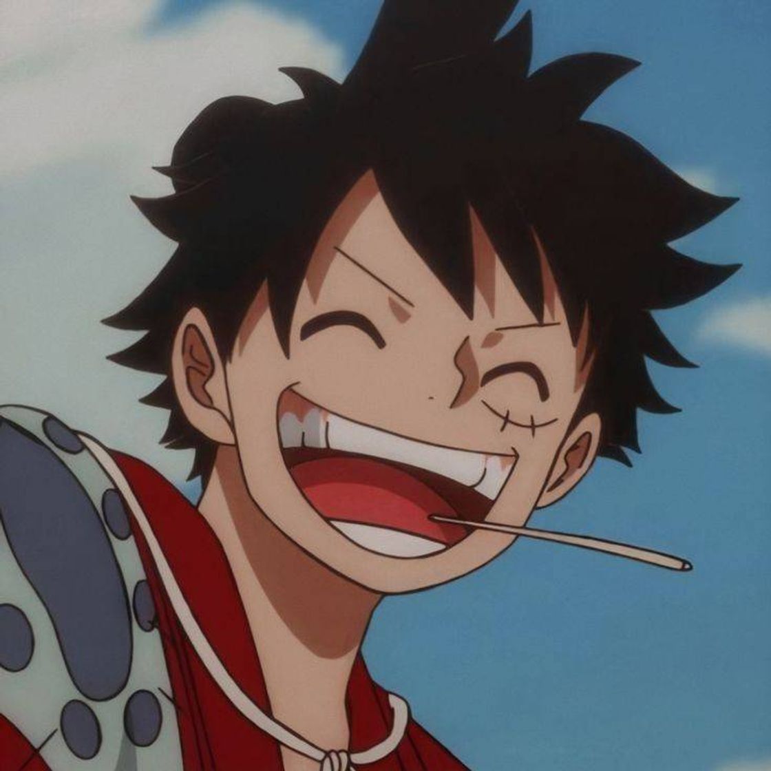 Fashion Luffy (One piece)