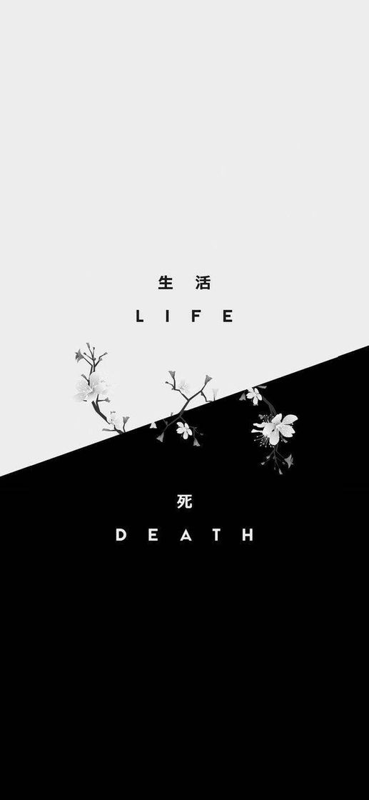 Fashion Life & Death