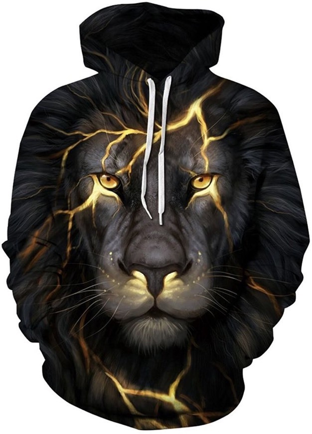 Social Leon 🦁