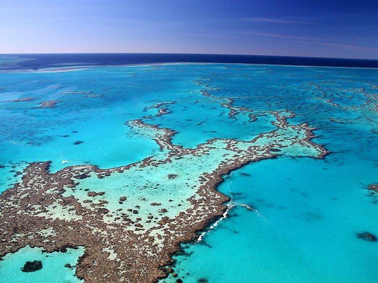 Lugar Grande barreira de corais Australia