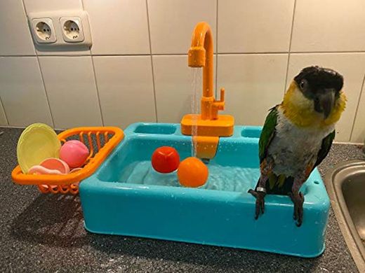 Gobabo Bañera para pájaros loros piscina bañera comedero para pájaros Tazón automático