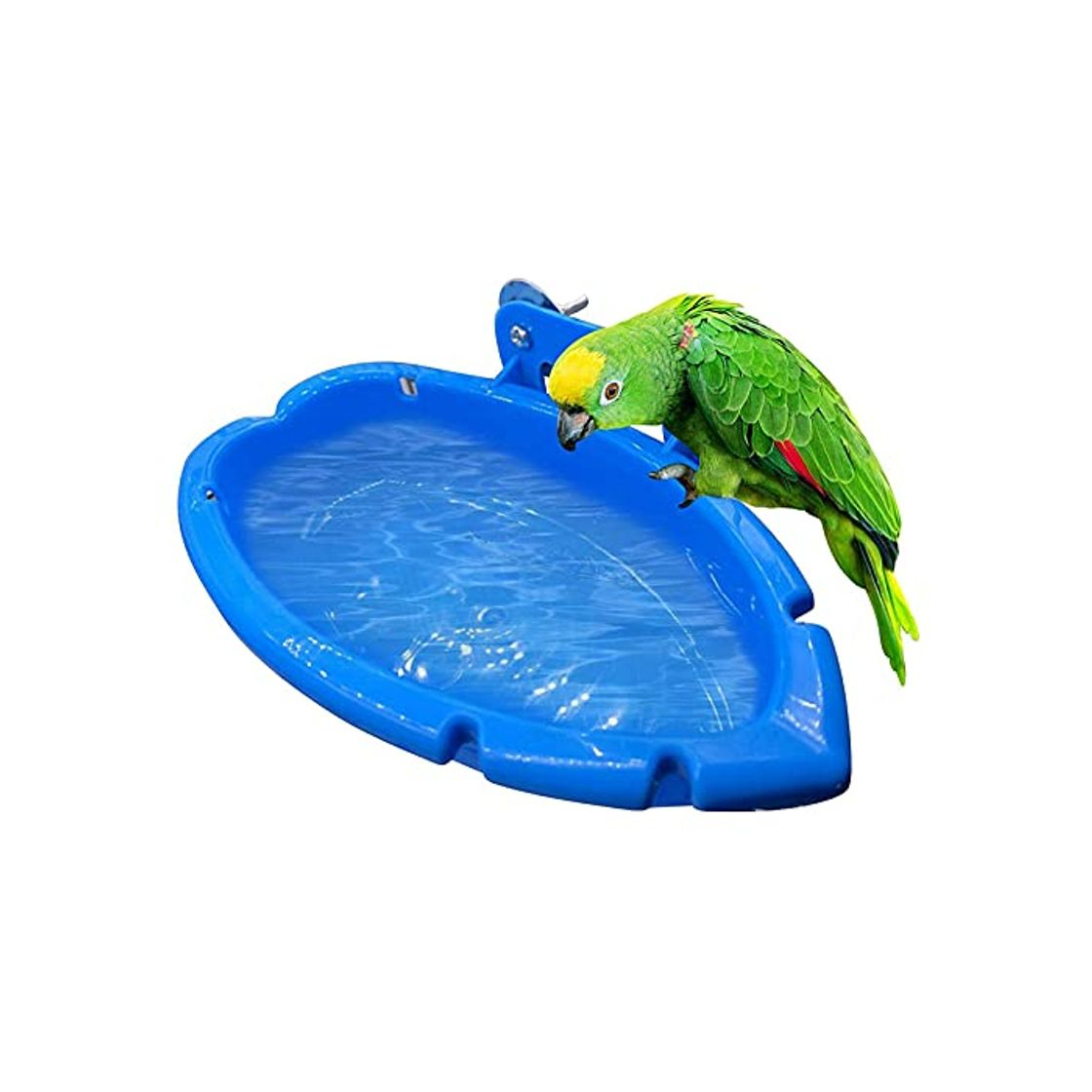 Social Aves De Bañera Colgante Pequeño Loro Ducha Baño Bañera De Aves Para Los Loros Ducha Jaula De Pájaros Pequeños Accesorios Baño Del Para Las Aves Loros Periquitos La Jaula De Pájaros Accesorios De Ducha