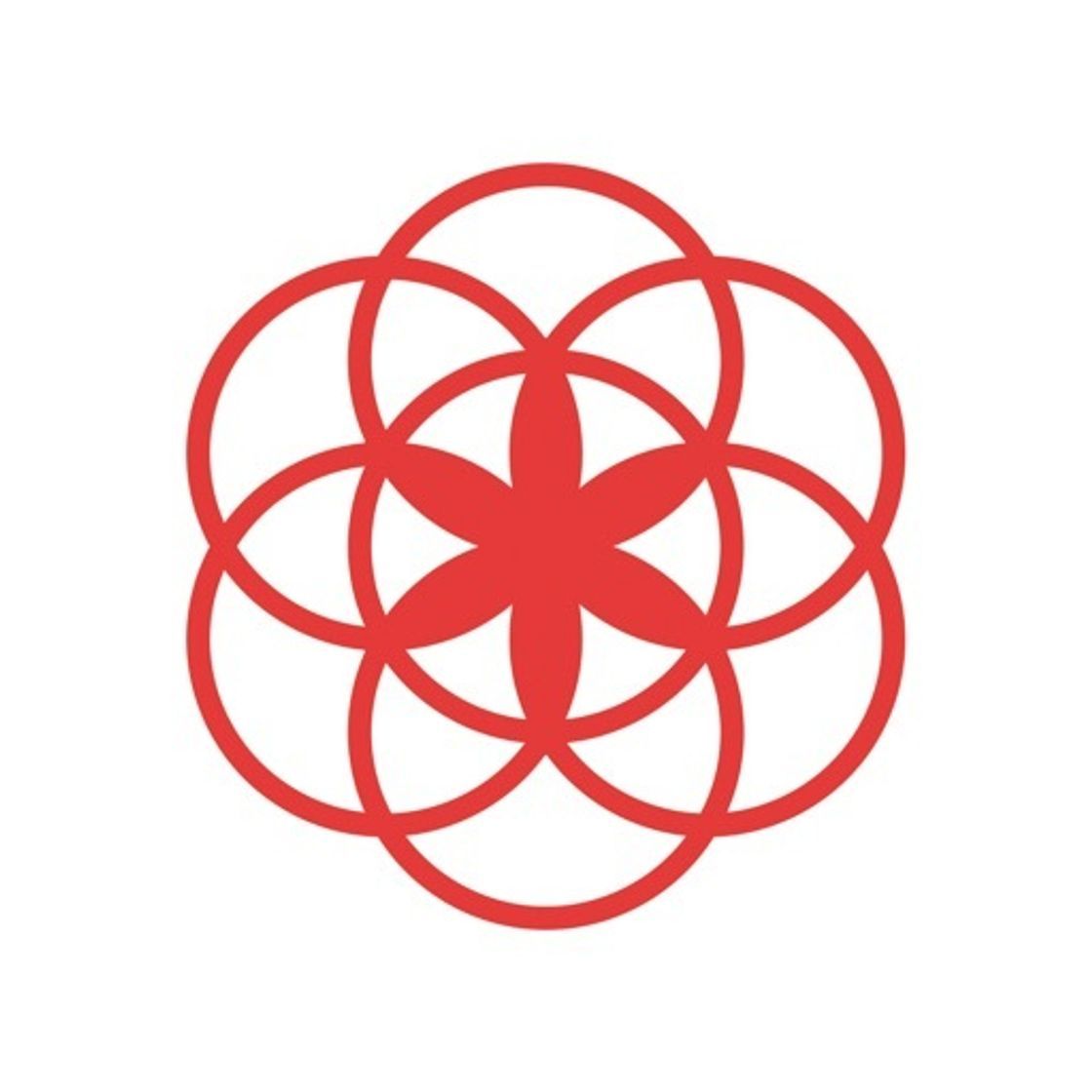 App Clue - Calendario Menstrual