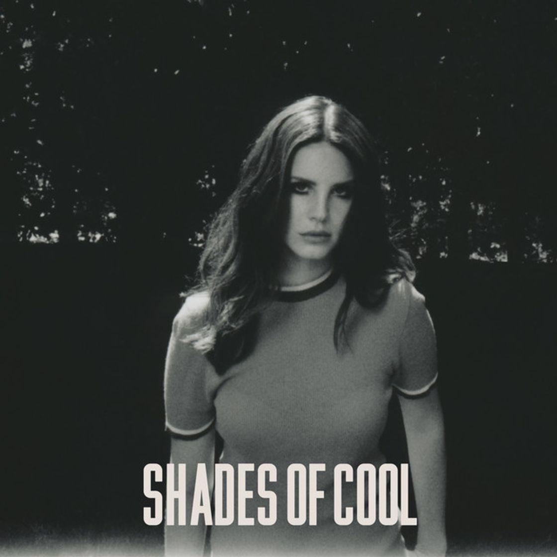 Canción Shades Of Cool