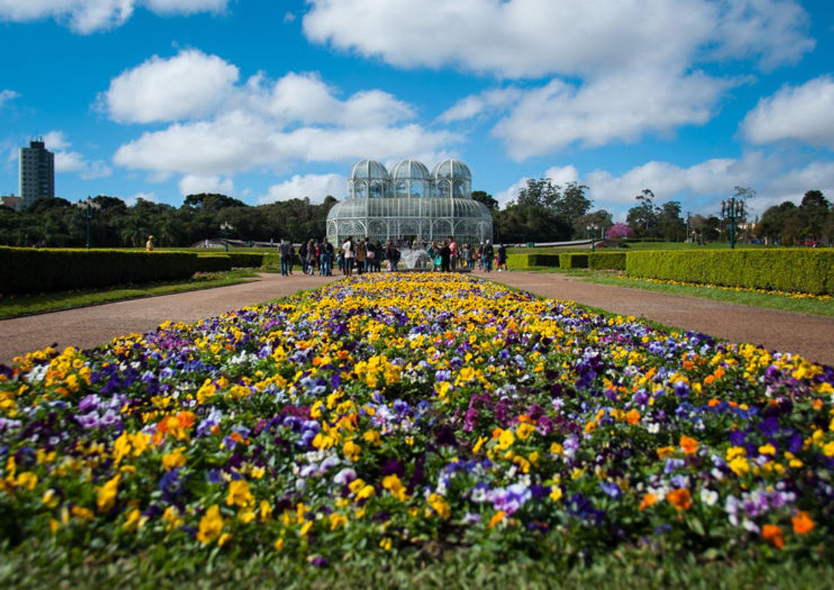 Lugar Jardim Botânico