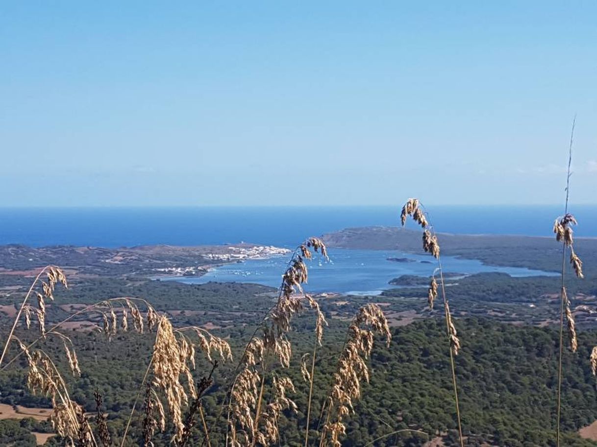 Lugar Monte Toro