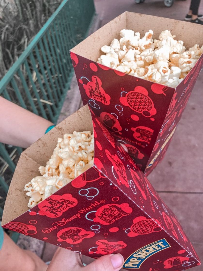Place Disney's Hollywood Studios