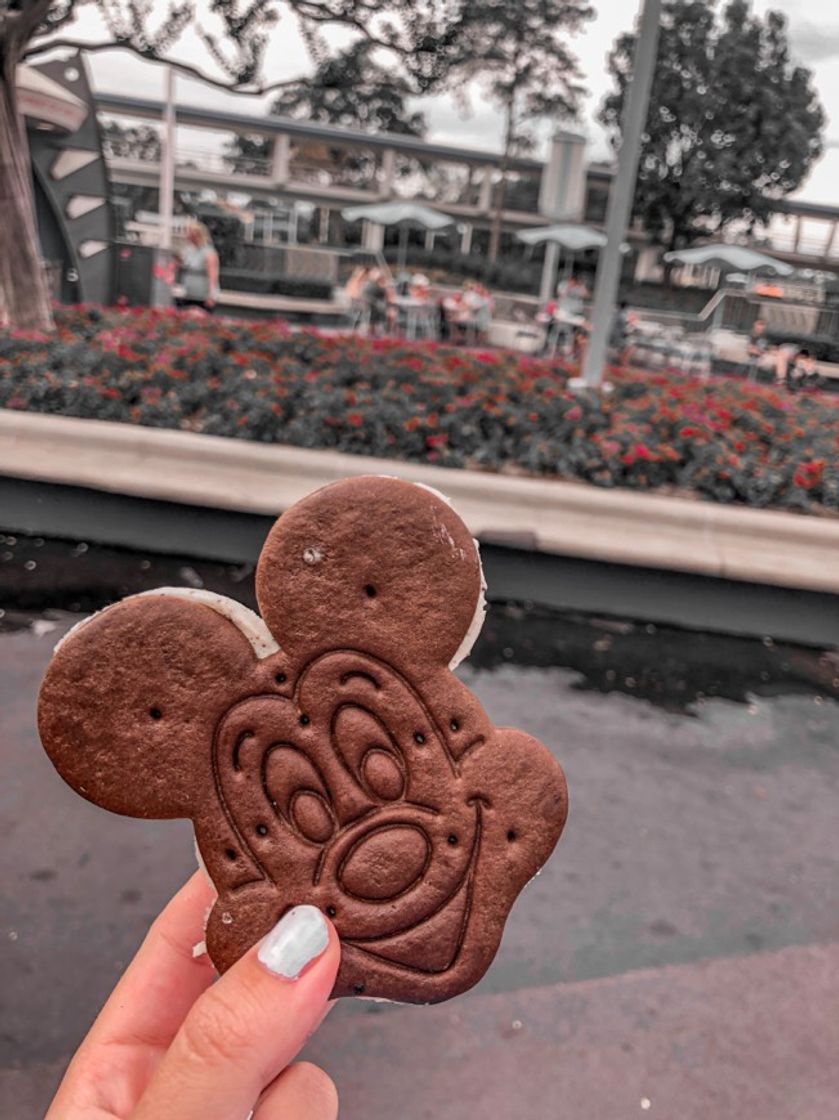 Place Magic Kingdom