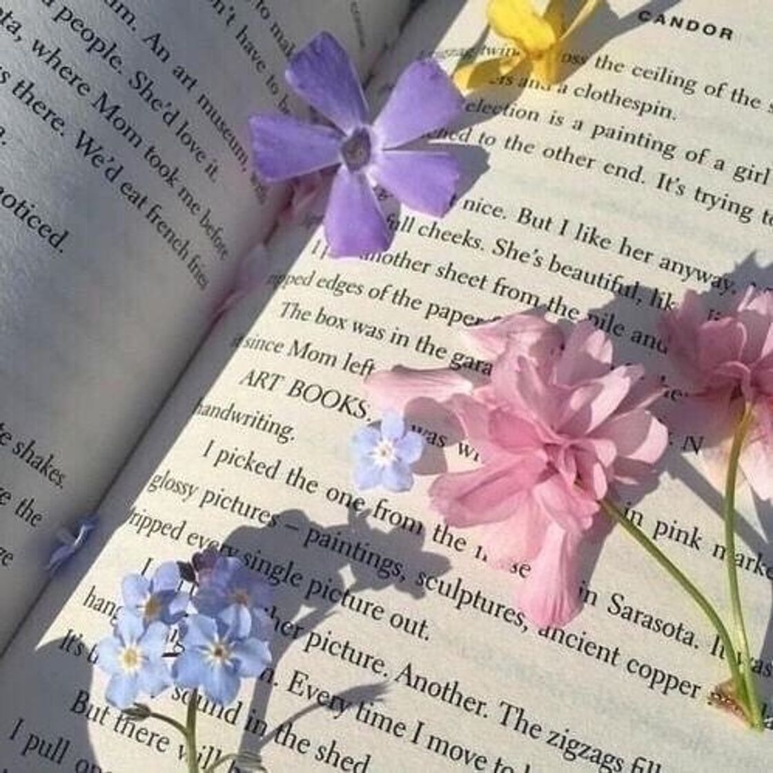 Social Soft aesthetic ✨
