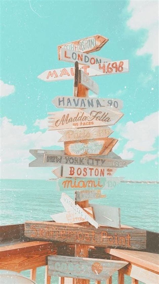Social Vsco aesthetic☀️🌴🌊