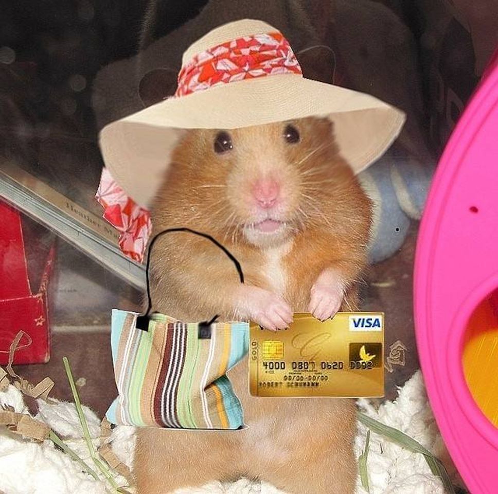 Fashion Hamster