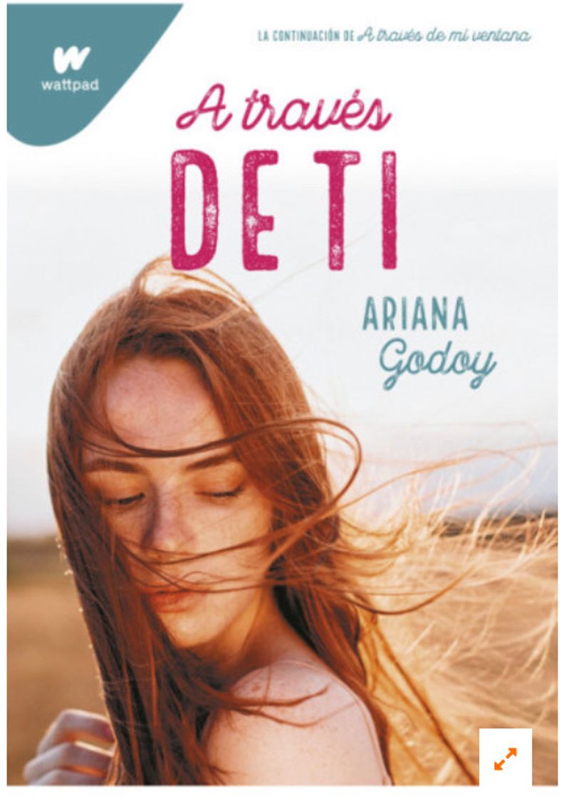 Libro A travez de ti 