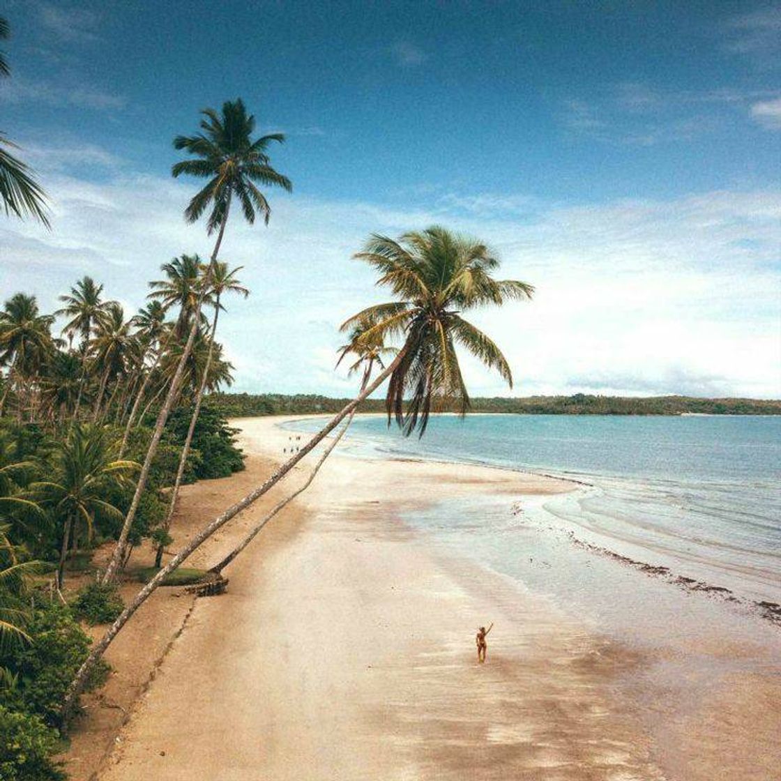 Fashion Boipeba, Bahia 😍