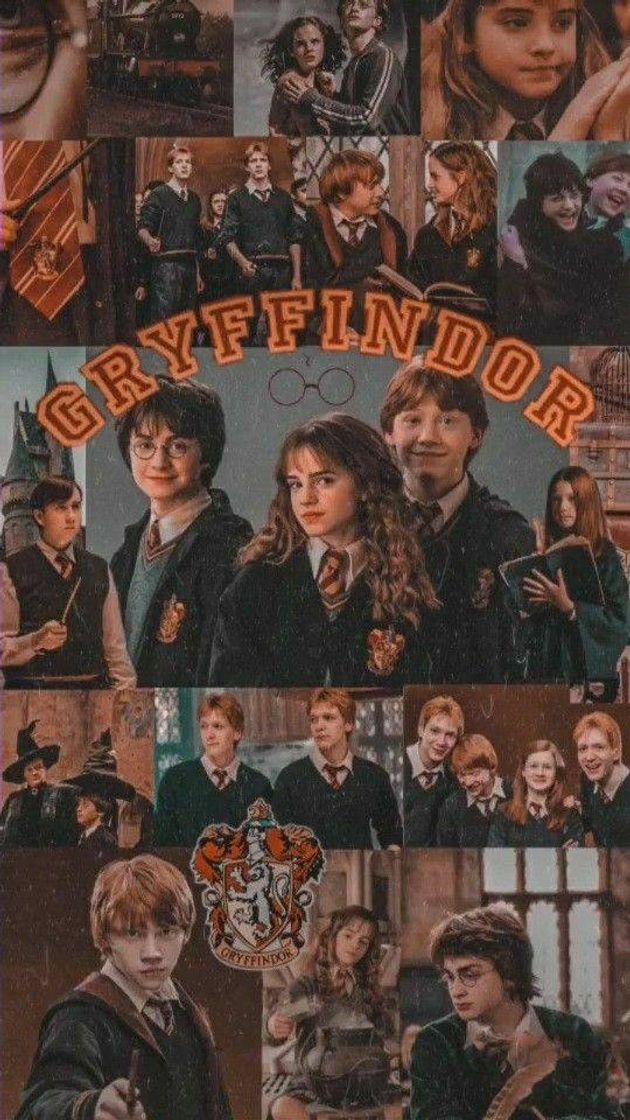 Fashion Wallpaper Grifinoria Harry Potter ✨