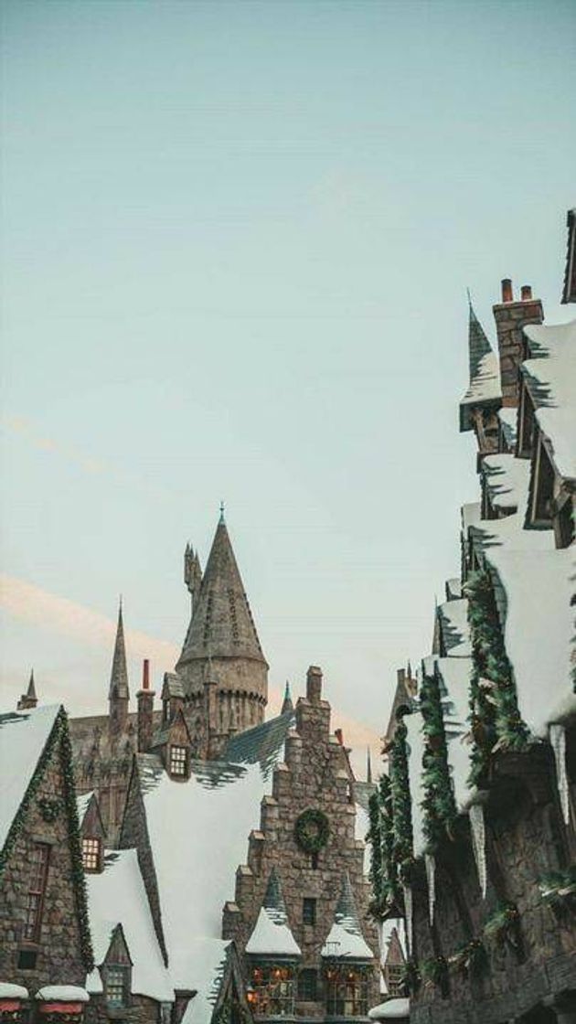 Fashion Wallpaper harry Potter ✨