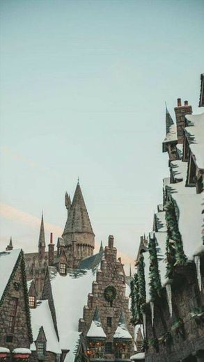 Wallpaper harry Potter ✨