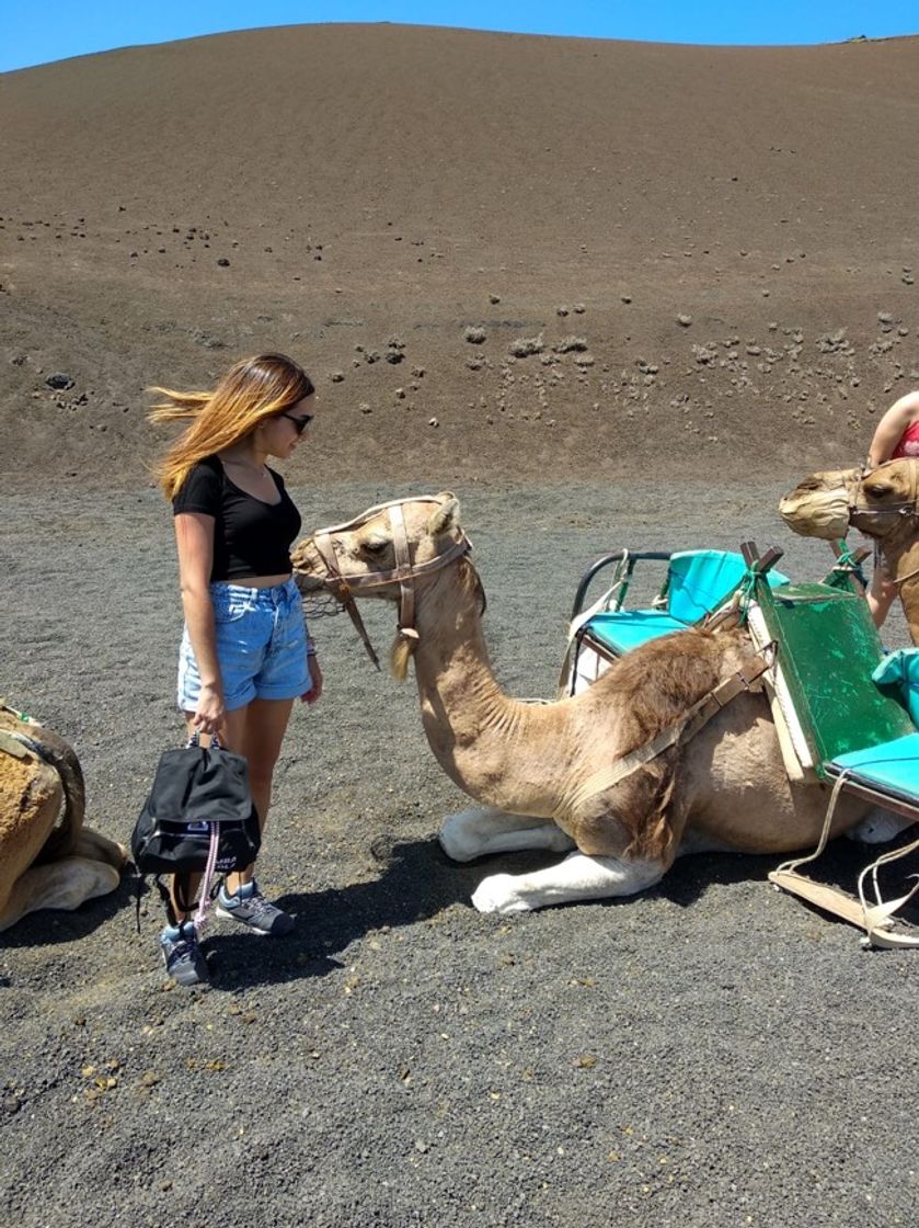 Place Lanzarote