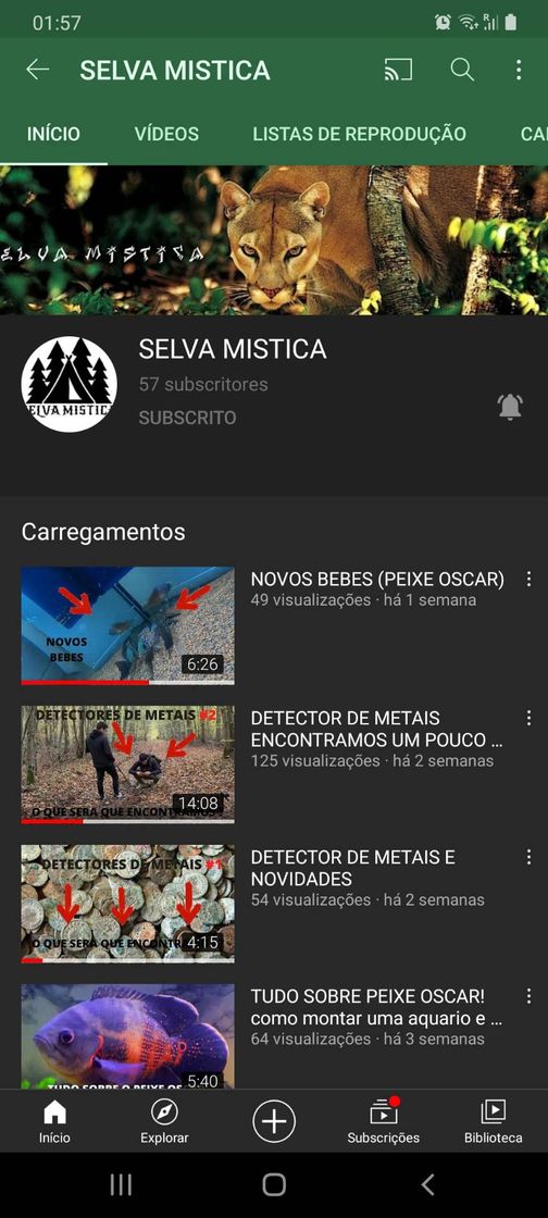 Moda SELVA MISTICA - YouTube