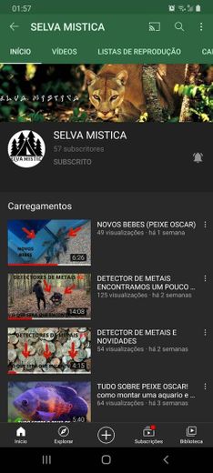 SELVA MISTICA - YouTube