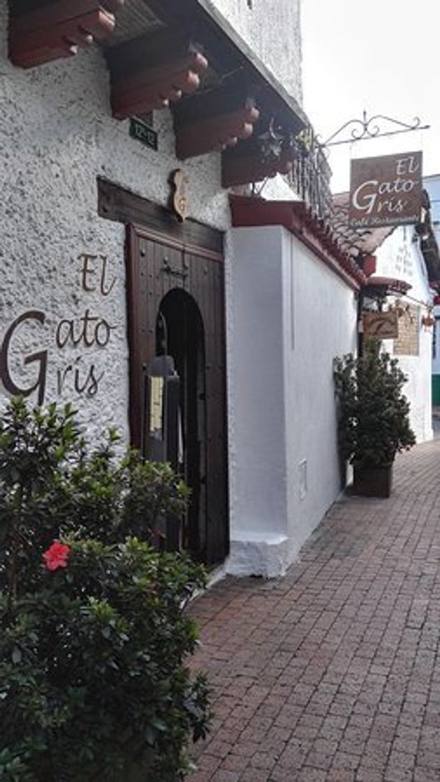 Restaurant El Gato Gris