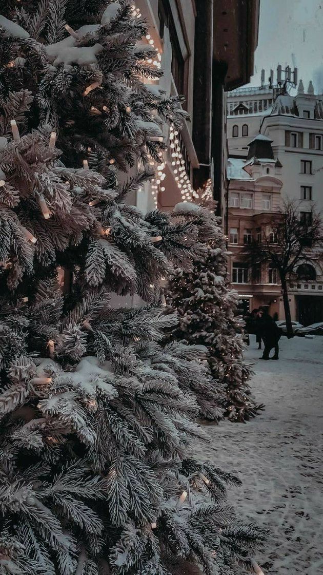 Moda Árvore e neve.