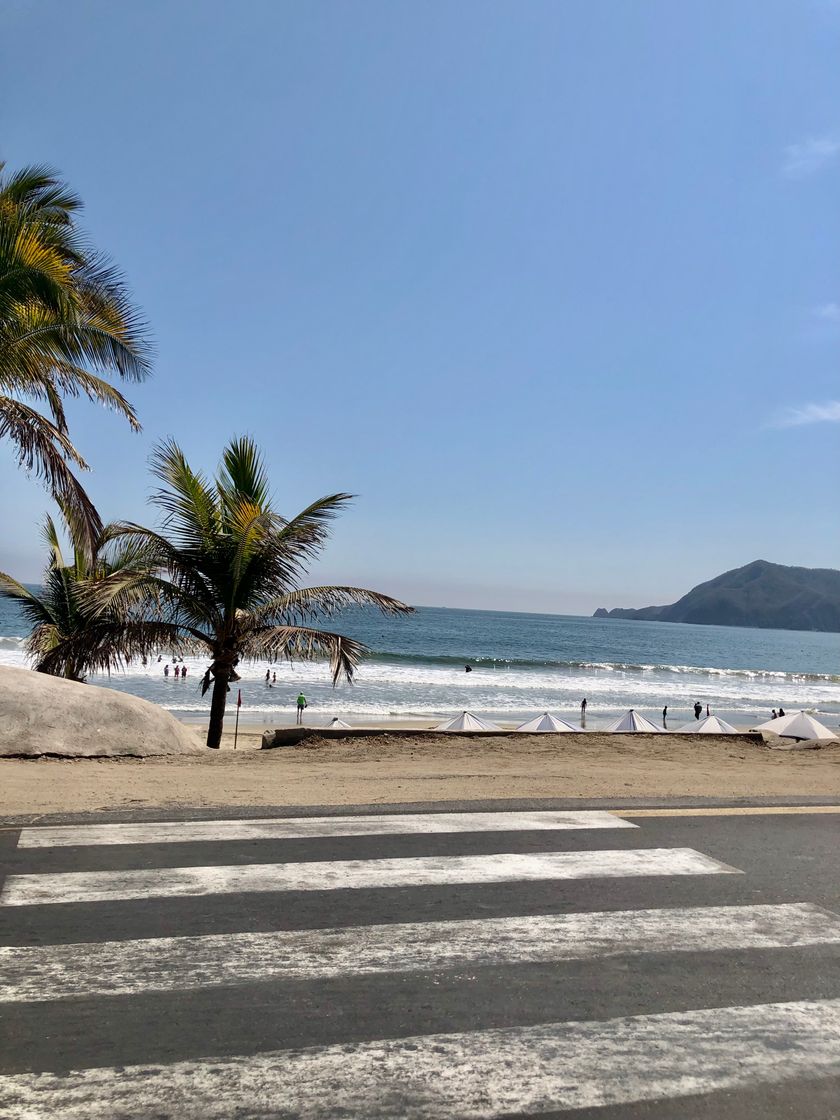 Place Manzanillo