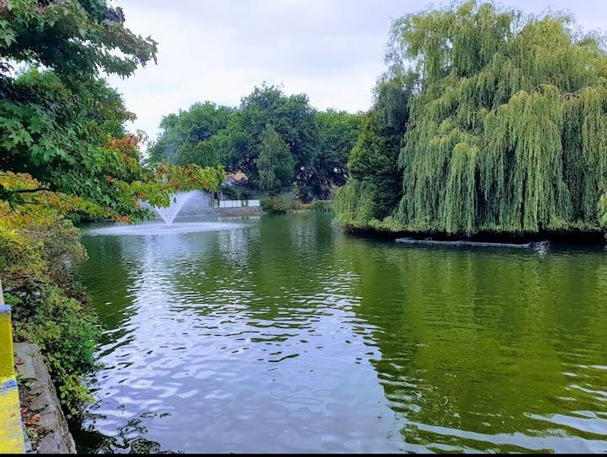 Lugares Blessington Street Park (The Basin)