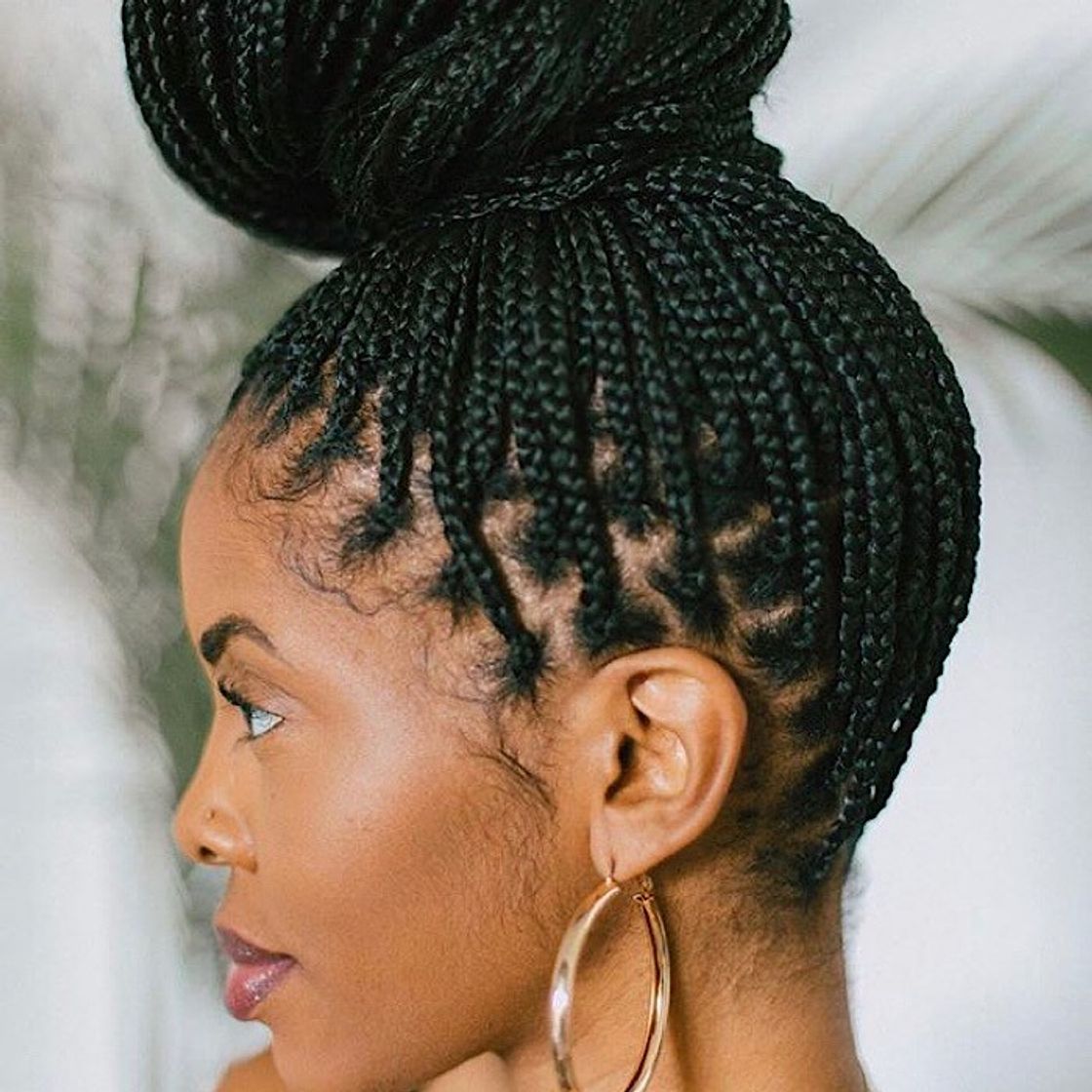 Fashion Boxbraids