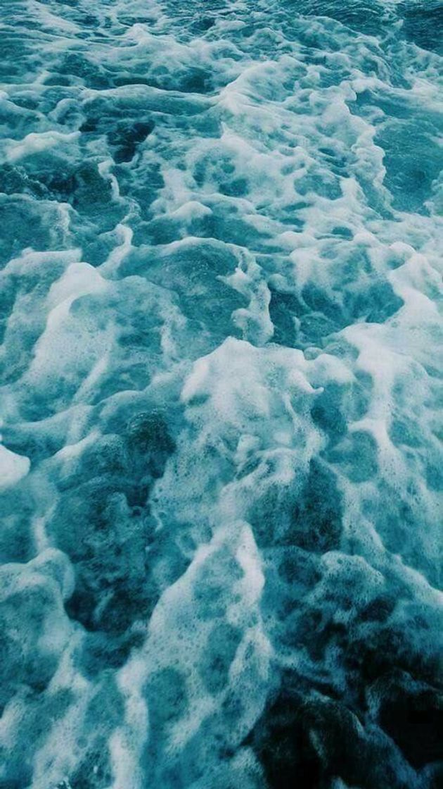 Ocean 🌊