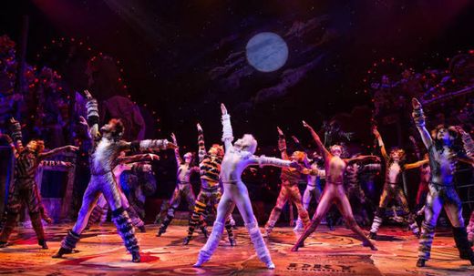 CATS  The Musical