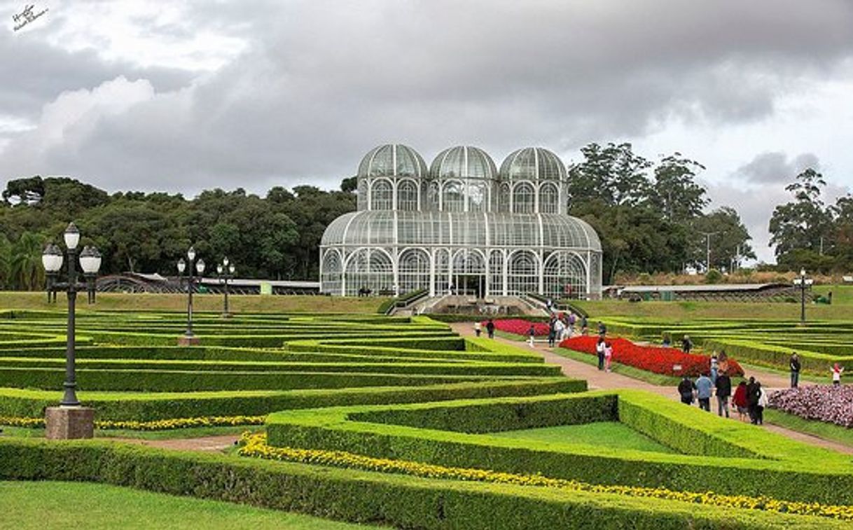 Lugar Jardim Botânico