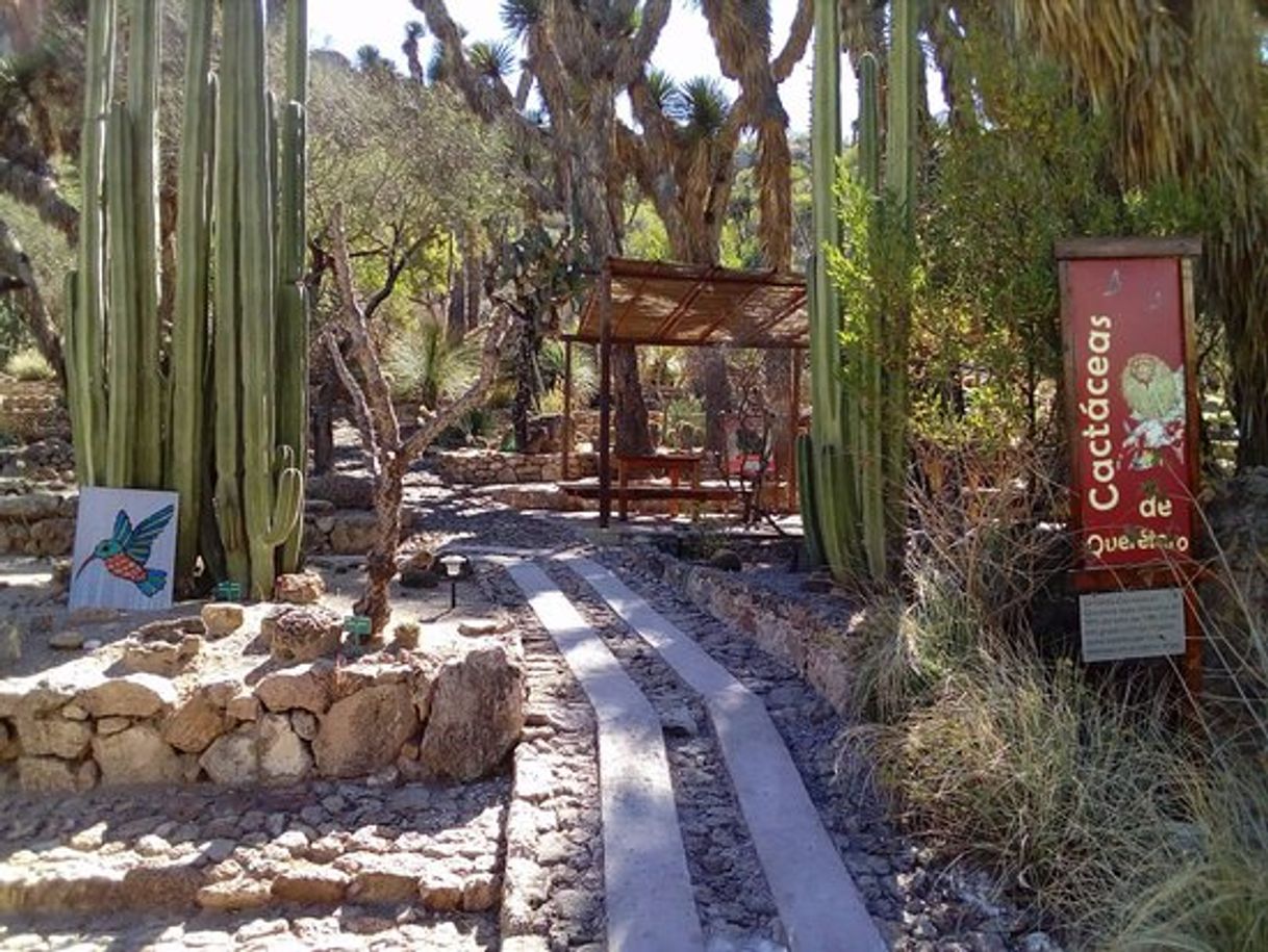 Lugares Jardín Botánico de Cadereyta