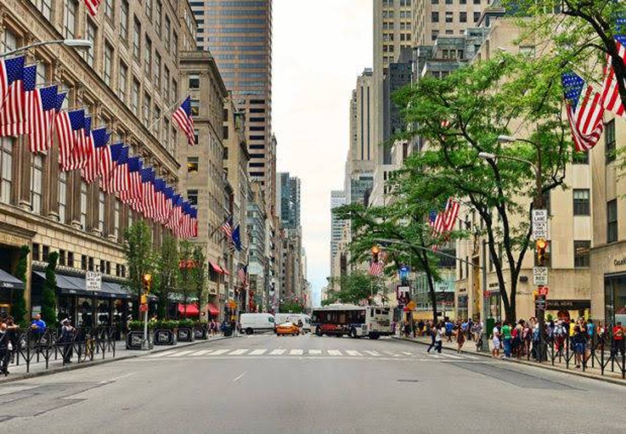 Lugar 5th Avenue
