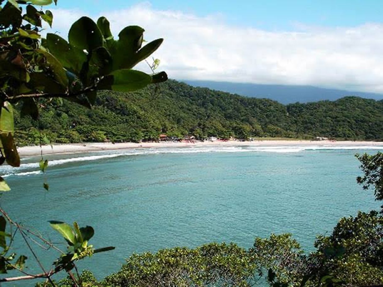 Social Praia Branca