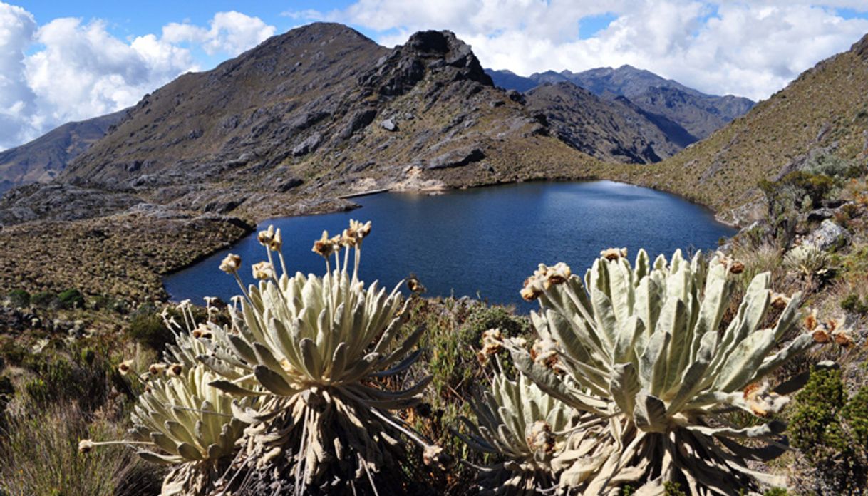 Lugar Paramo de Santurban