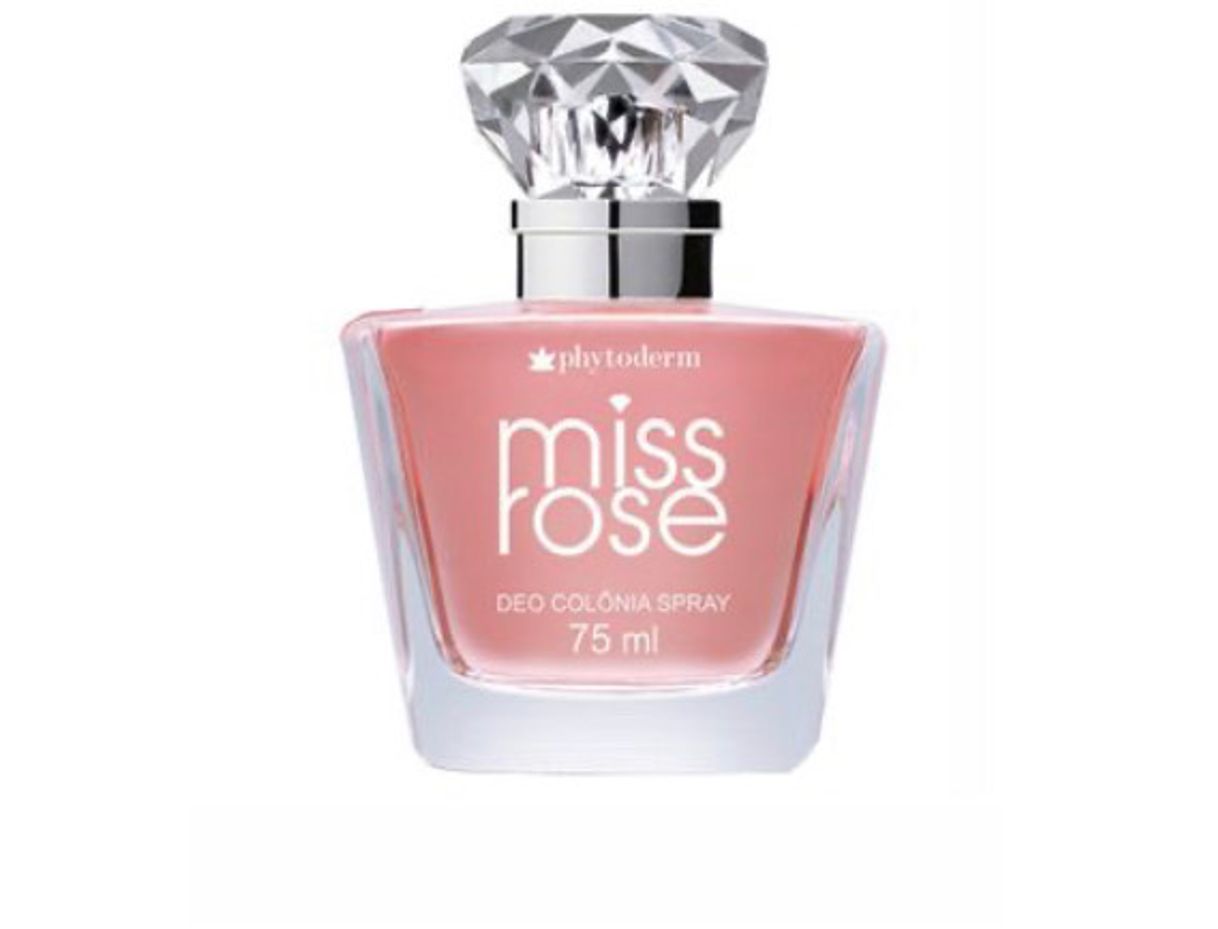 Fashion Miss rose 