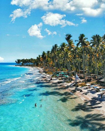 Praia dos carneiros