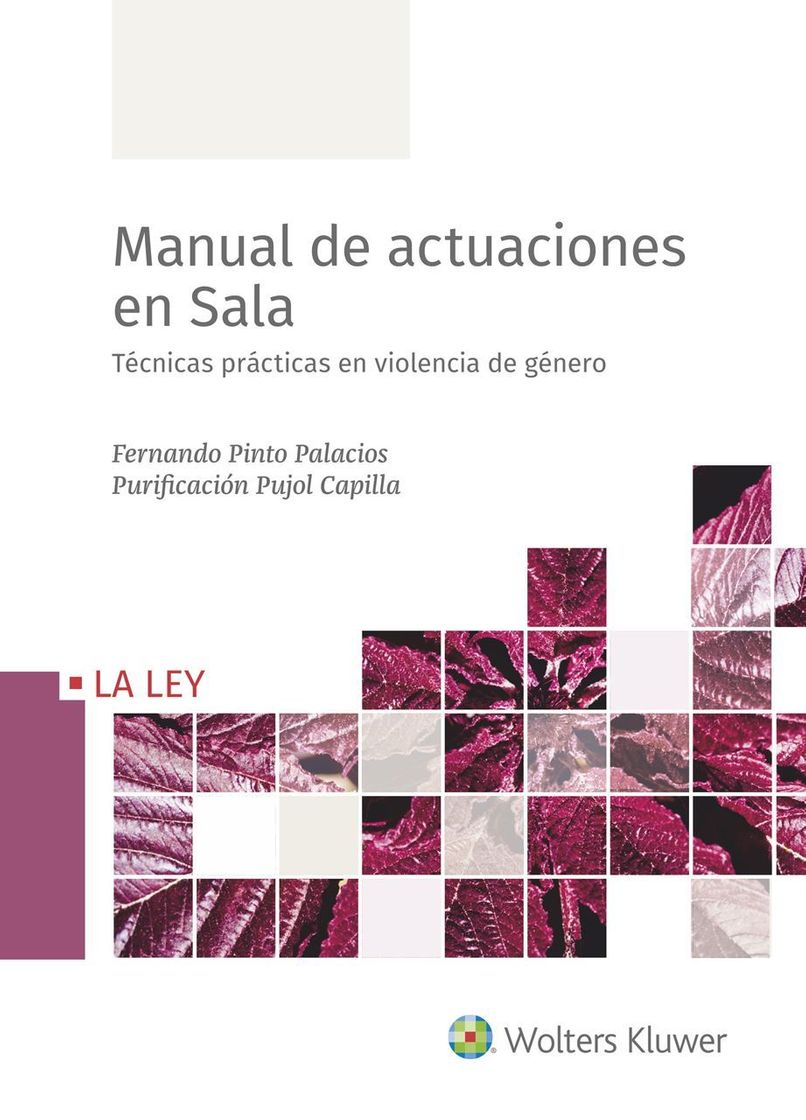 Book MANUAL DE ACTUACIONES EN SALA: TECNICAS PRACTICAS EN VIOLENCIA DE GENERO -  FERNANDO PINTO PALACIOS, PURIFICACION PUJOL CAPILLA